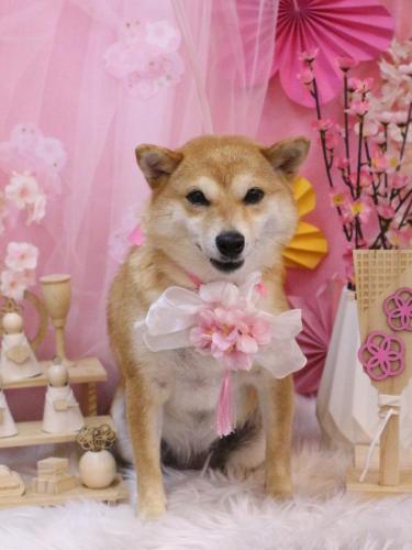 20250321マニーちゃん